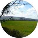 adam round