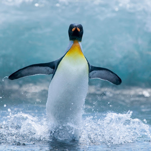 Hd-157010-ascw157010