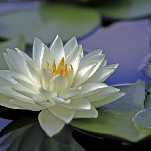 Hd-148556-ascw148556