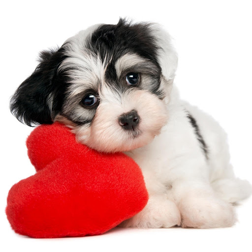 Hd-175874-ascw175874