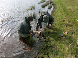 Skjern Au _ Oktober 2012 - 028