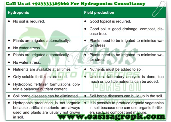 Advantages and Disadvantages of Hydroponics