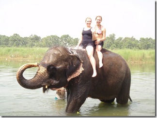 1.1276122366.elephant-bath 1.1276122366.elephant-bath