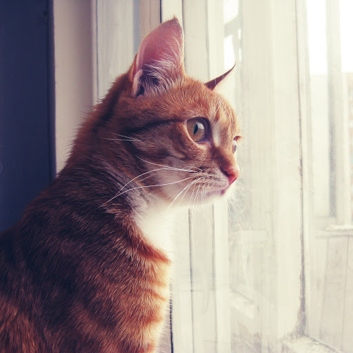 Hd-157153-ascw157153