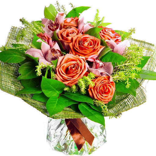 Hd-178159-ascw178159