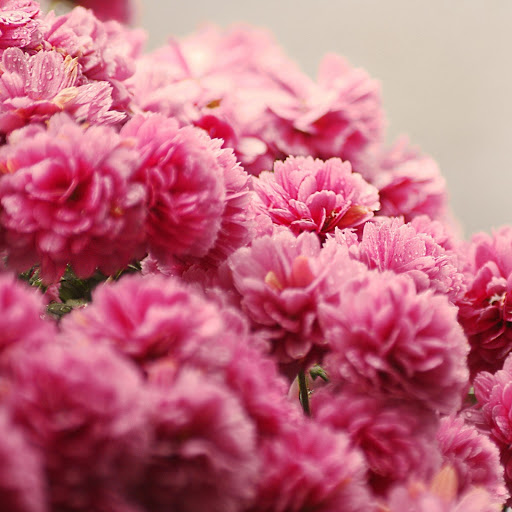 Hd-141760-ascw141760