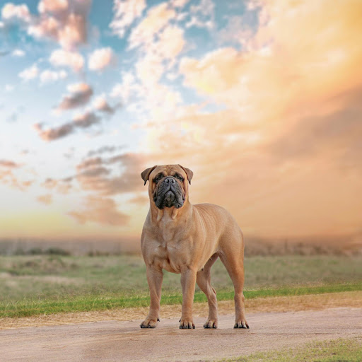 Hd-141189-ascw141189