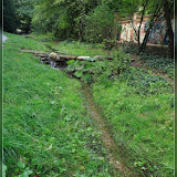 Bachlauf im Görlitzer Park
