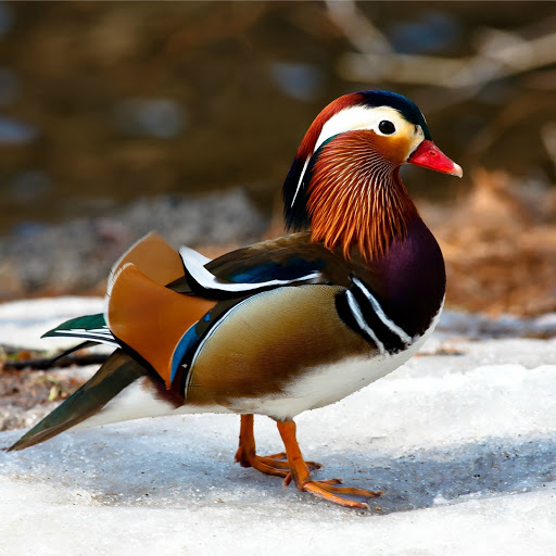 Hd-162806-ascw162806