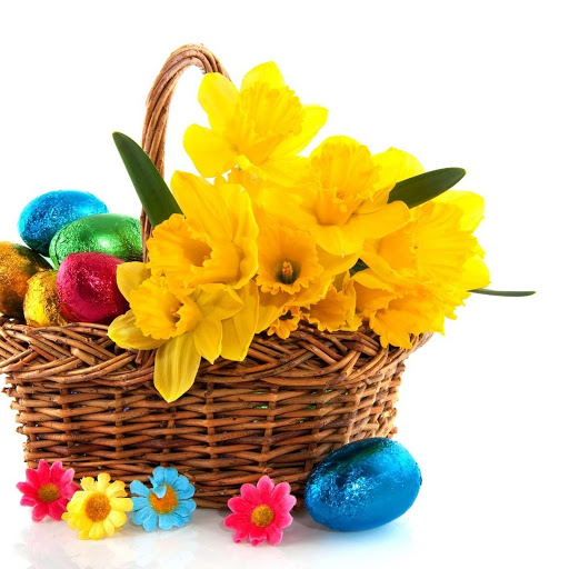 Hd-155649-ascw155649