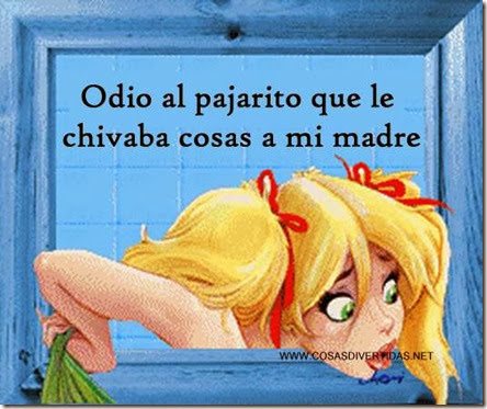 PAJARITO 1