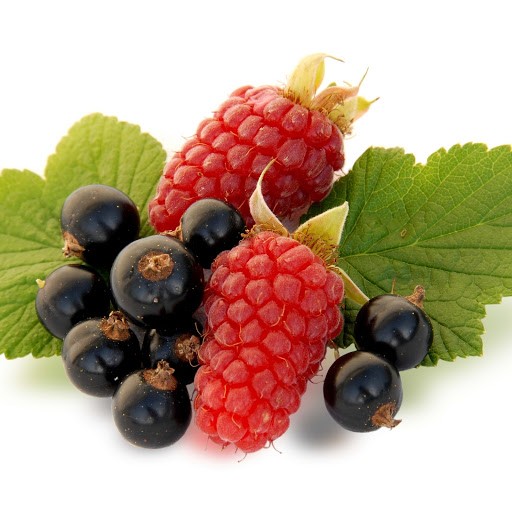 Hd-131974-ascw131974