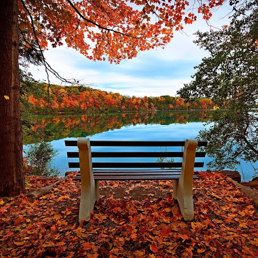 Hd-141787-ascw141787