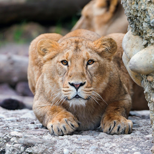 Hd-174602-ascw174602