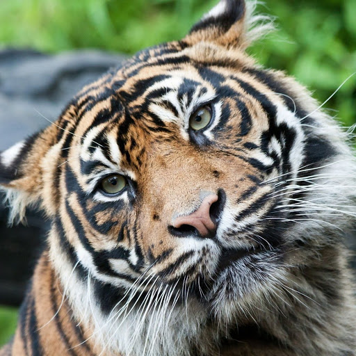 Hd-137683-ascw137683