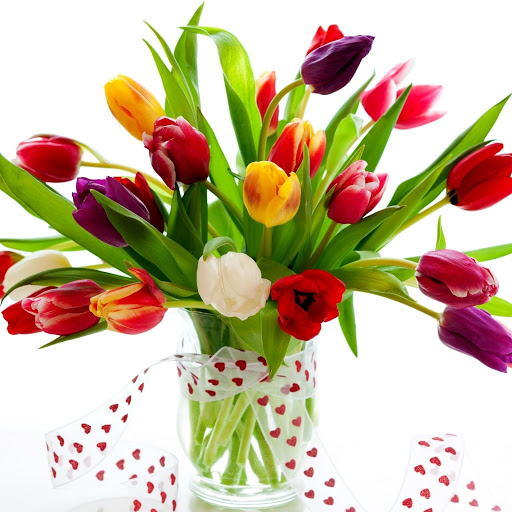 Hd-177951-ascw177951