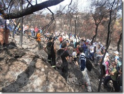 534041_463937726977905_743791953_n