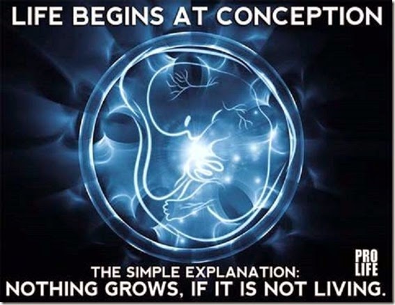 life_begins_at_conception