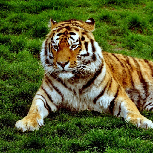 Hd-180327-ascw180327