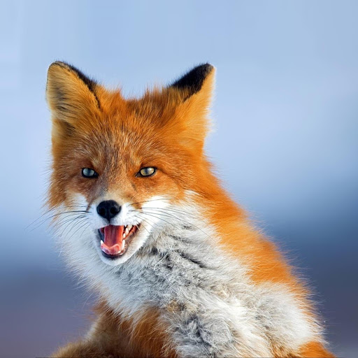 Hd-166370-ascw166370