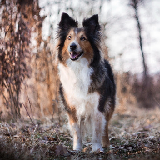 Hd-141770-ascw141770