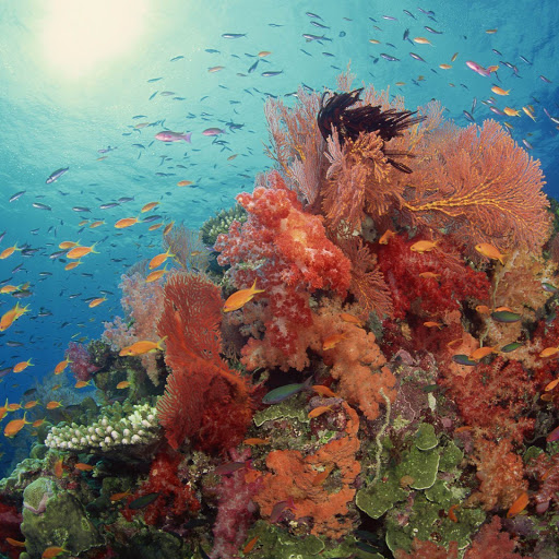 Hd-143422-ascw143422