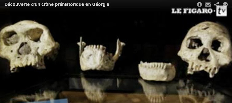 Un crâne de 1,8 million d'années révolutionne l'histoire de l'évolution dans Culture d%C3%A9couverte+cr%C3%A2ne+g%C3%A9orgie