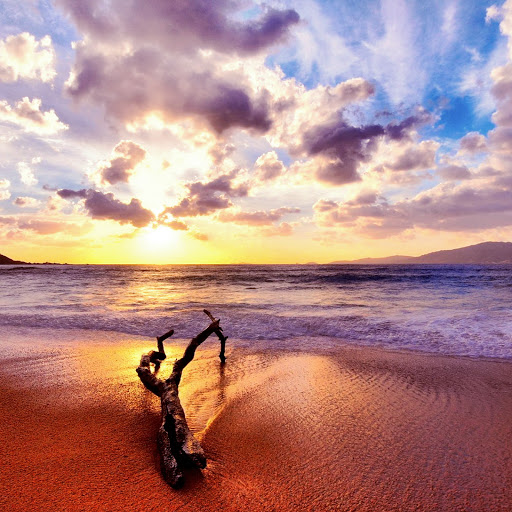 Hd-131083-ascw131083