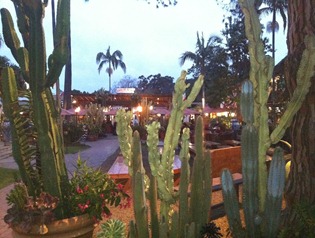 dinner at Casa De Reyes in Old Town San Diego