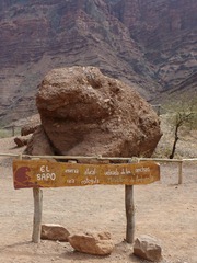 The Toad, Quebrada de las Conchas, Salta.