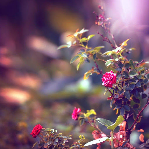 Hd-143654-ascw143654