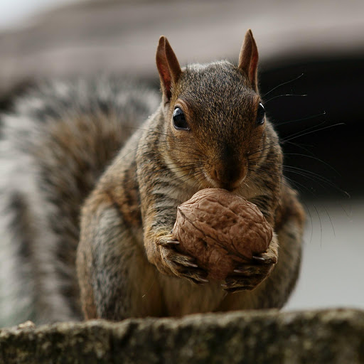 Hd-154646-ascw154646