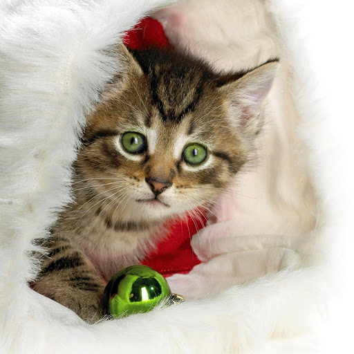 Hd-170859-ascw170859