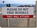 Warning_Sign_Sea Gulls