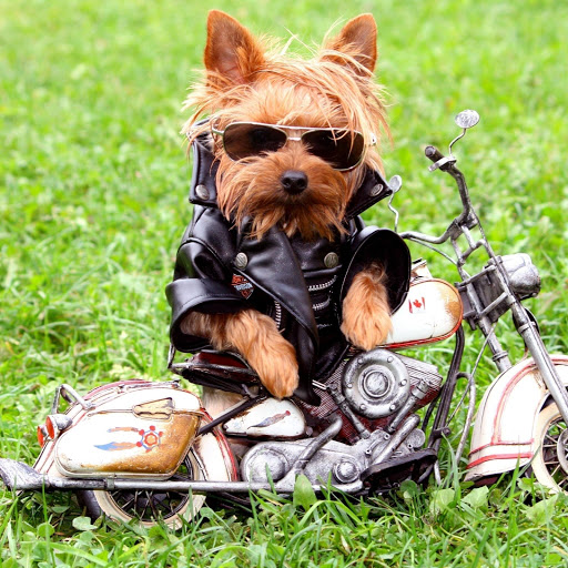 Hd-152965-ascw152965