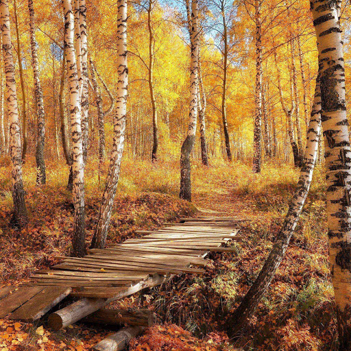 Hd-152360-ascw152360