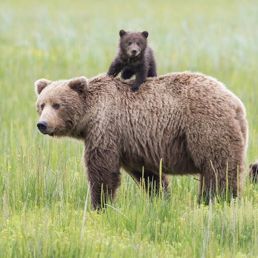 Hd-180624-ascw180624