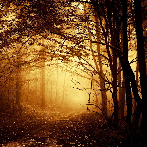 Hd-168732-ascw168732