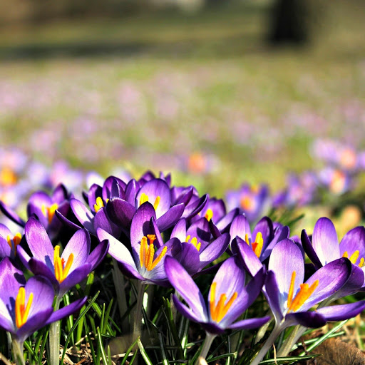 Hd-171649-ascw171649