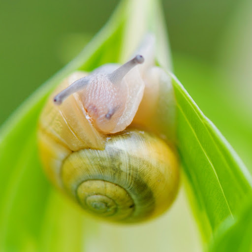 Hd-169005-ascw169005