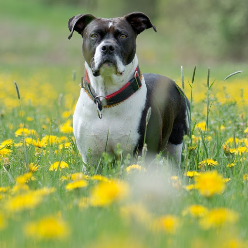 Hd-180435-ascw180435