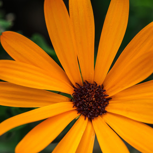 Hd-173190-ascw173190