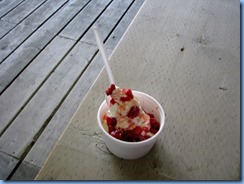 5078 Village of St. Jacobs -fresh strawberry ice cream sundae