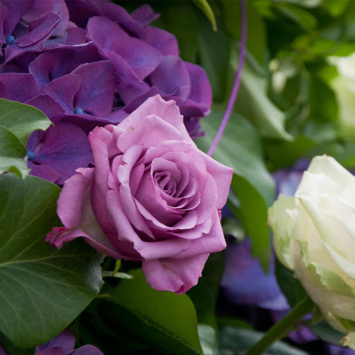 Hd-157869-ascw157869