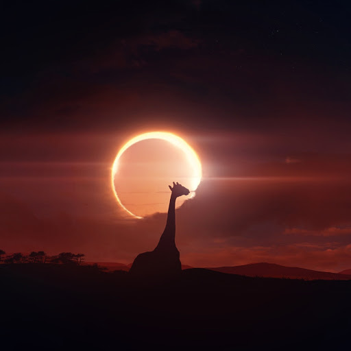 Hd-138914-ascw138914