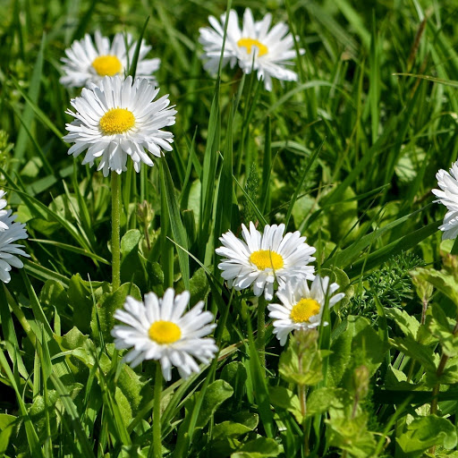 Hd-185719-ascw185719