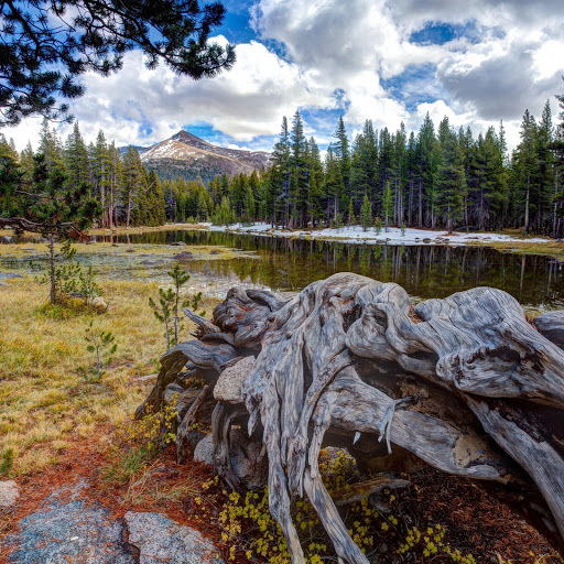 Hd-131959-ascw131959