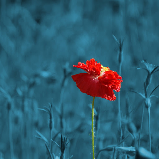 Hd-165472-ascw165472