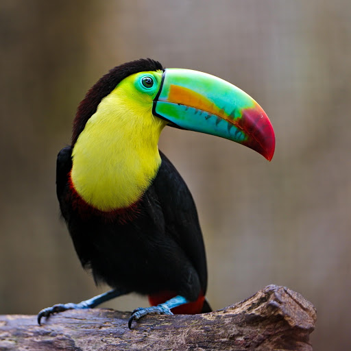 Hd-178183-ascw178183