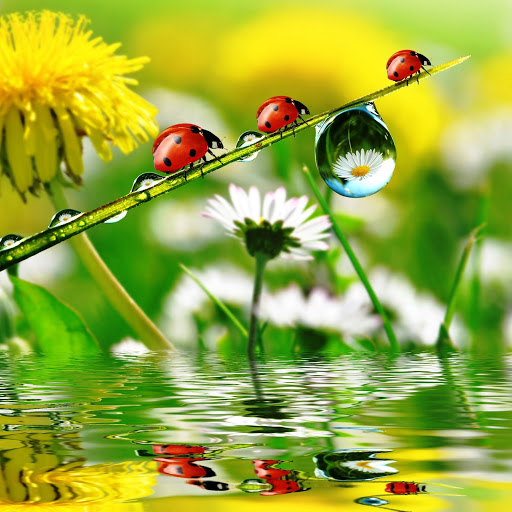 Hd-142036-ascw142036